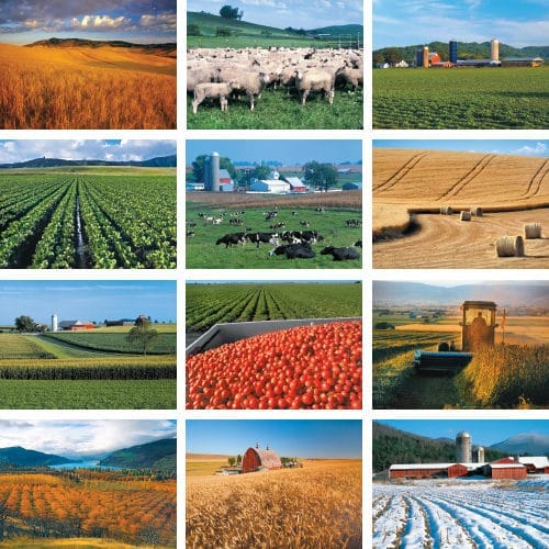 America 2025 calendar preview