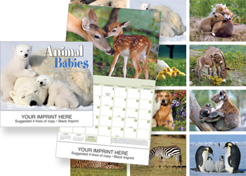 Animal Babies Calendar Preview